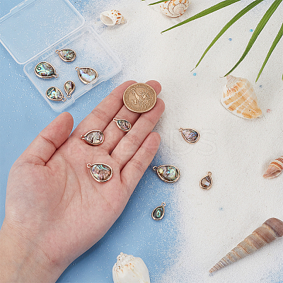 12Pcs 3 Styles Natural Paua Shell Pendants SHEL-BC0001-038-1