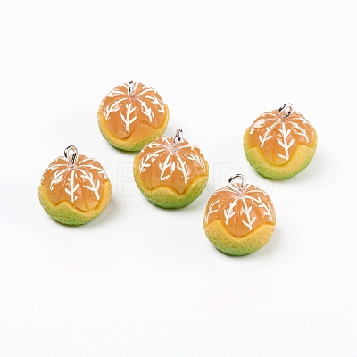 Resin Pendants RESI-TAC0002-23-1