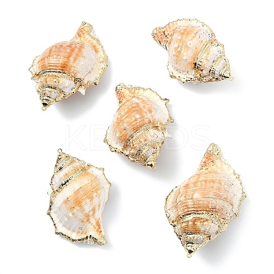 5Pcs Natural Sea Shell Big Pendants with Golden Brass Edge BSHE-YW0001-16-1
