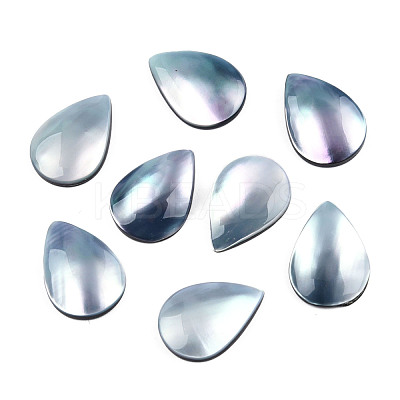 Natural Turbo Cornulus/Top Shells Cabochons SSHEL-N003-157A-1