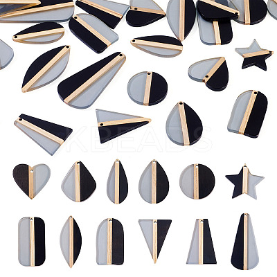 24Pcs 12 Styles Transparent Resin & Natural Wood Pendants RESI-TA0004-63-1
