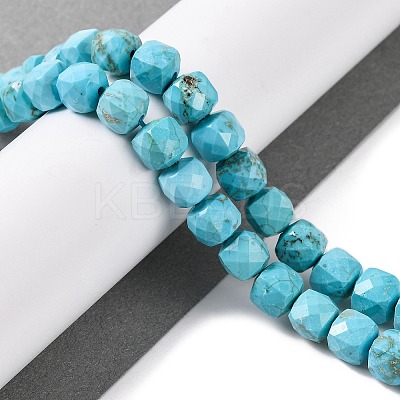 Natural Howlite Beads Strands G-G001-B03-05-1