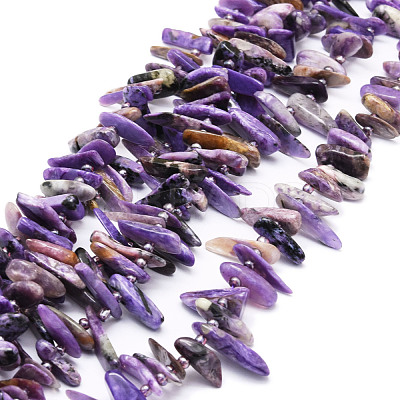 Natural Charoite Beads Strands G-E569-O03-1