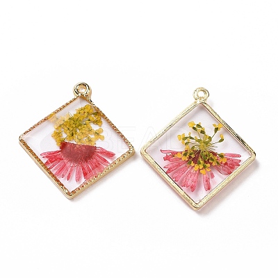 Transparent Clear Epoxy Resin Pendants RESI-L036-11KCG-02-1
