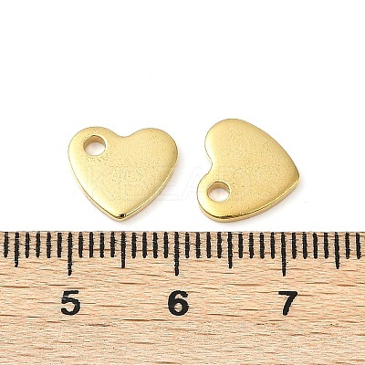 304 Stainless Steel Charms X-STAS-Q112-G-1