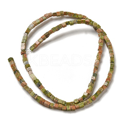 Natural Unakite Beads Strands G-B064-A10-1