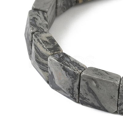 Natural Map Stone Beads Stretch Bracelets for Women Men BJEW-C097-06-10-1