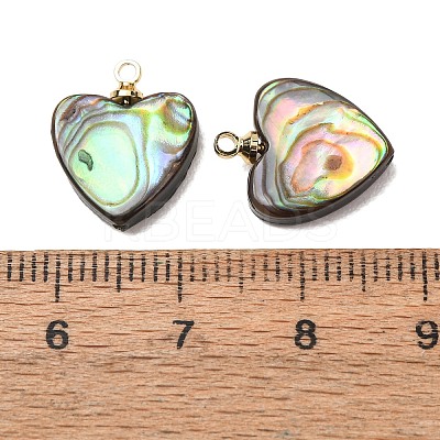 Natural Abalone Shell Pendants SH-CJC0AC7-01F-G-1