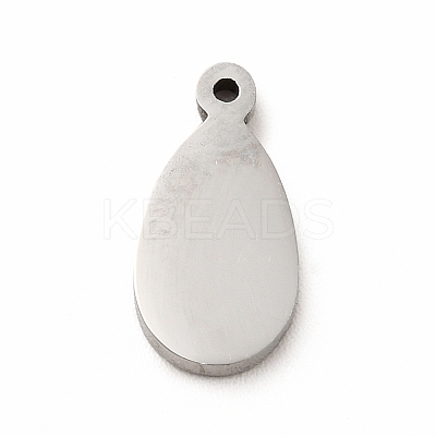 304 Stainless Steel Enamel Charms STAS-A078-05P-1