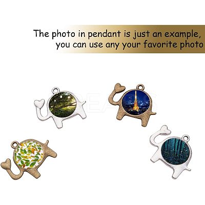 DIY Pendant Making PH-DIY-G005-34-1