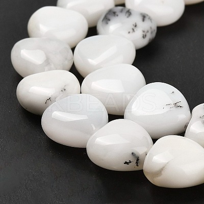 Natural White African Opal Beads Strands G-H005-C10-01-1