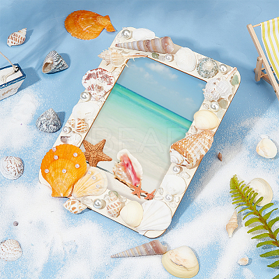Natural Shell Display Decorations DJEW-WH0063-35-1