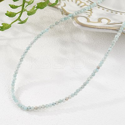 Natural Amazonite Beaded Necklaces NJEW-K114-A-A07-1