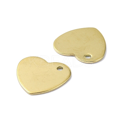 Ion Plating(IP) 201 Stainless Steel Charms STAS-H191-01C-G-1