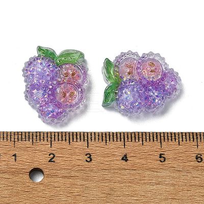 Fruit Transparent Epoxy Resin Decoden Cabochons CRES-I030-23E-1