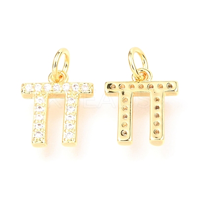 Brass Micro Pave Cubic Zirconia Charms ZIRC-O037-06G-1