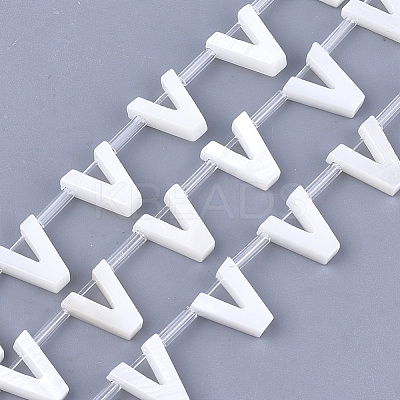 Freshwater Shell Beads X-SHEL-T012-59V-1