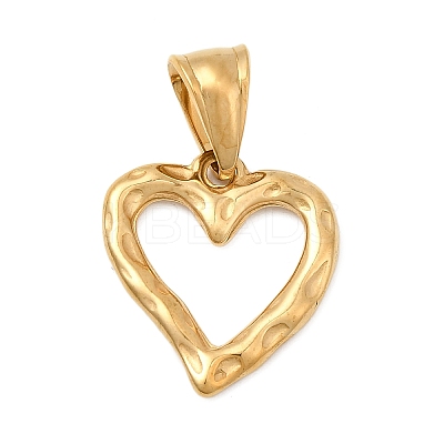 304 Stainless Steel Pendants STAS-B167-02G-1
