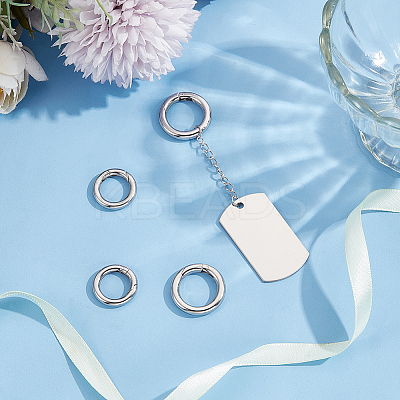 4Pcs 2 Styles 304 Stainless Steel Spring Gate Ring STAS-UN0059-43B-1