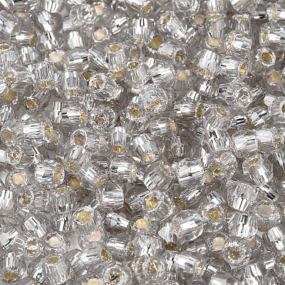 Silver Lined Glass Seed Beads SEED-T007-18A-02-1