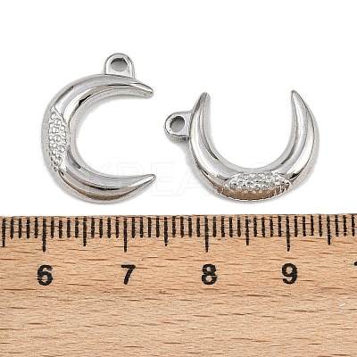 304 Stainless Steel Pendants STAS-L303-15P-1