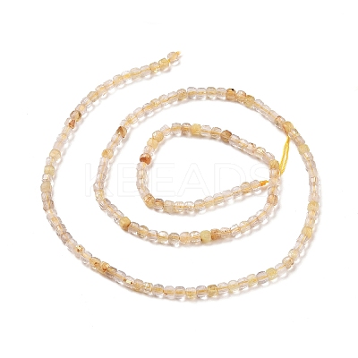 Natural Gold Rutilated Quartz Beads Strands G-C009-B17-1