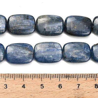 Natural Kyanite Beads Strands G-H335-I01-12x16mm-1