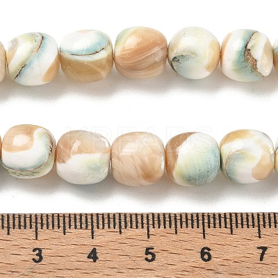 Natural Seashell Shell Beads Strands SH-CBAFEDD-01B-1