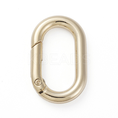 Electroplated Alloy Keychain Clasps LS-PALLOY-G260-01G-1