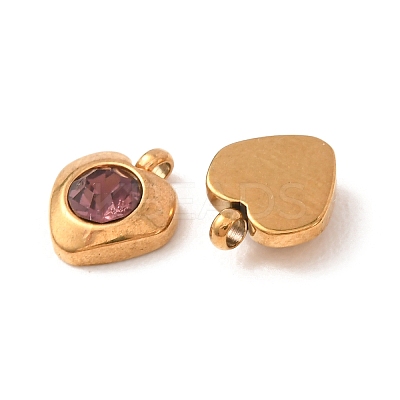 304 Stainless Steel Charms STAS-I165-05G-01-1