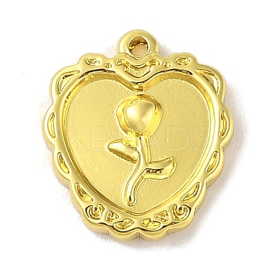304 Stainless Steel Pendants STAS-A097-23B-G-1