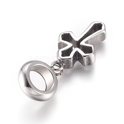 304 Stainless Steel European Dangle Charms LS-OPDL-G010-03AS-1