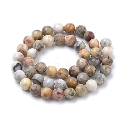 Natural Crazy Lace Agate Round Bead Strands G-E334-6mm-20-1