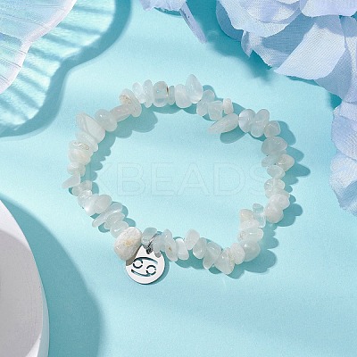 Natural White Moonstone Stretch Bracelets BJEW-JB11147-04-1