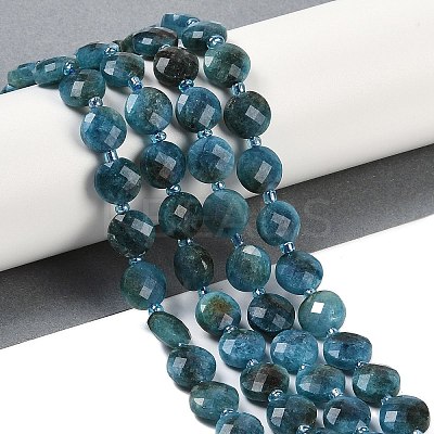 Natural Apatite Beads Strands G-B094-A27-01-1