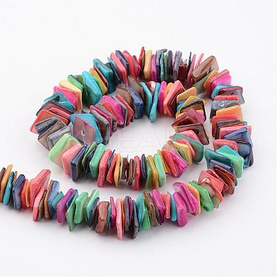 Natural Shell Bead Strands BSHE-P021-01-1