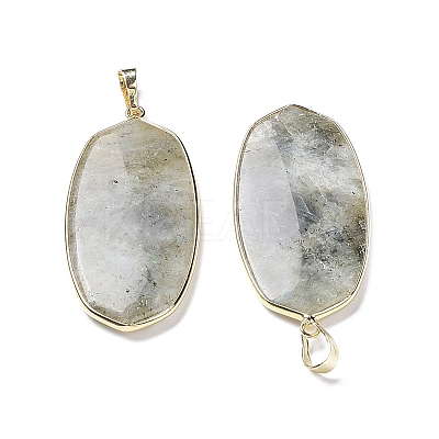 Natural Labradorite Pendants G-K338-05B-1