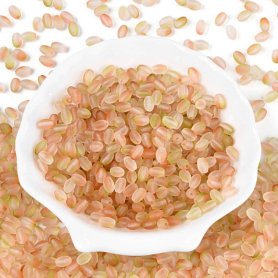Frosted Glass Seed Beads SEED-N008-05D-1