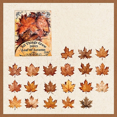 Waterproof PET Stickers Set LS-DIY-Z030-01C-1