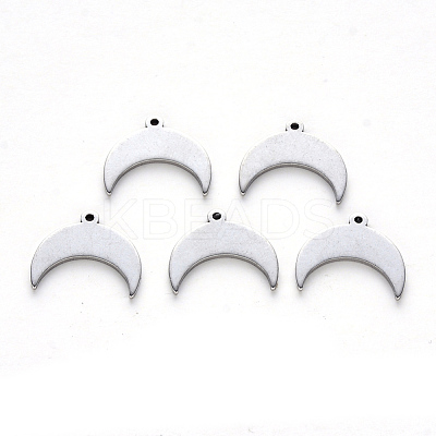 Tarnish Resistant 304 Stainless Steel Charms STAS-N092-19-1