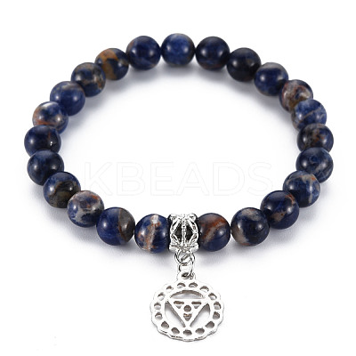 Natural Tiger Eye Beaded Stretch Bracelets BJEW-S145-001D-1