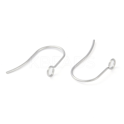 Tarnish Resistant 316 Surgical Stainless Steel Earring Hooks X-STAS-P162-13P-B01-1
