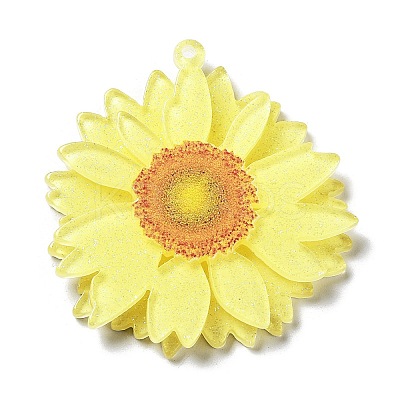 Printed Transparent Acrylic Pendants LS-SACR-P029-B04-1