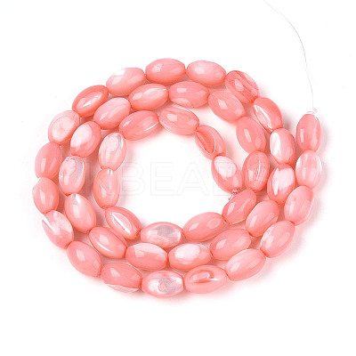 Natural Trochus Shell Beads Strands SHEL-K006-19-01E-1