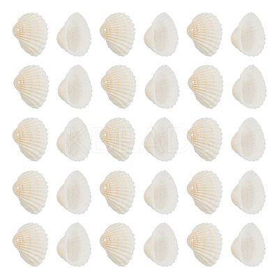 Shell Pendants SSHEL-TA0001-03-1