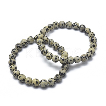 Natural Dalmatian Jasper Bead Stretch Bracelets BJEW-K212-B-014-1