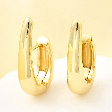 Brass Teardrop Hoop Earrings EJEW-Z121-09G-1