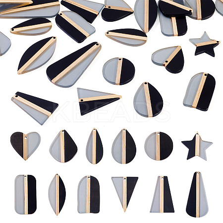 24Pcs 12 Styles Transparent Resin & Natural Wood Pendants RESI-TA0004-63-1