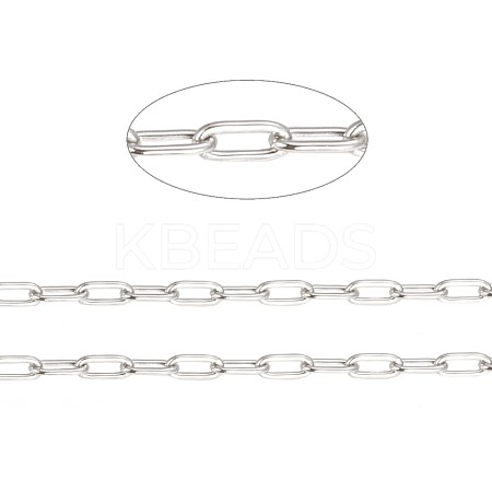 Tarnish Resistant 304 Stainless Steel Paperclip Chains CHS-F010-01A-P-01-1