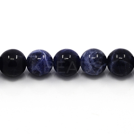 Natural Sodalite Beads Strands G-G515-12mm-07-1